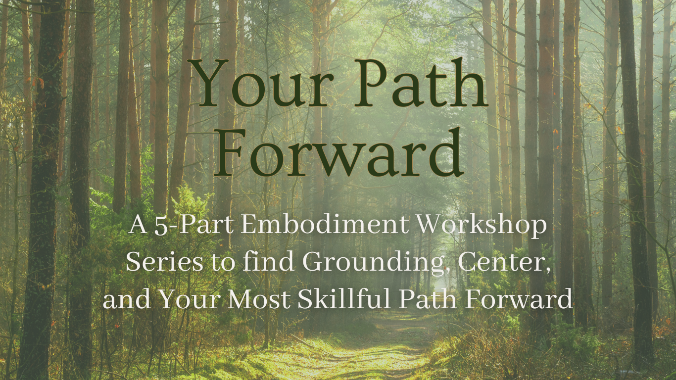 Forest Body Healing (9)