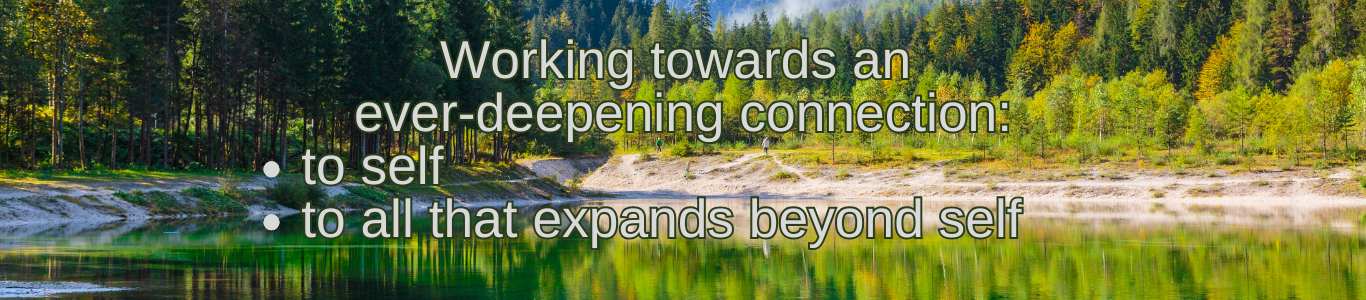 Copy of Forest Body Healing (1366 x 300 px)